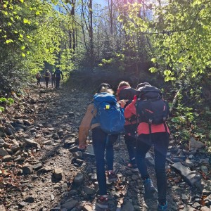 Ivančena 2025 - Pandy, Kocouři, Sokoli