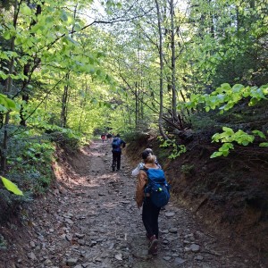 Ivančena 2025 - Pandy, Kocouři, Sokoli