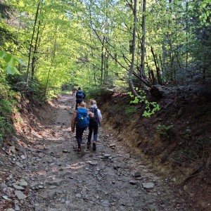 Ivančena 2025 - Pandy, Kocouři, Sokoli