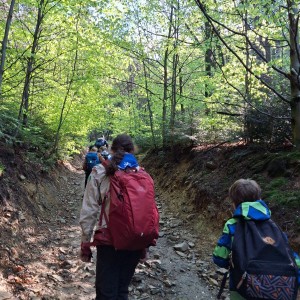 Ivančena 2025 - Pandy, Kocouři, Sokoli