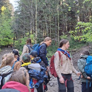 Ivančena 2025 - Pandy, Kocouři, Sokoli