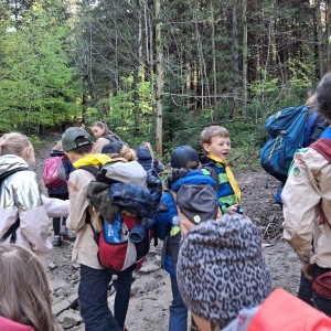 Ivančena 2025 - Pandy, Kocouři, Sokoli