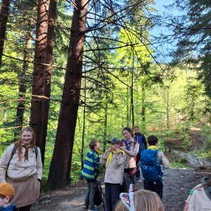 Ivančena 2025 - Pandy, Kocouři, Sokoli