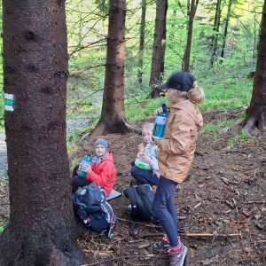 Ivančena 2025 - Pandy, Kocouři, Sokoli