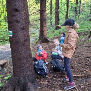 Ivančena 2025 - Pandy, Kocouři, Sokoli