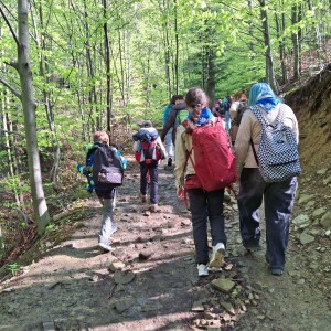 Ivančena 2025 - Pandy, Kocouři, Sokoli