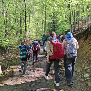 Ivančena 2025 - Pandy, Kocouři, Sokoli