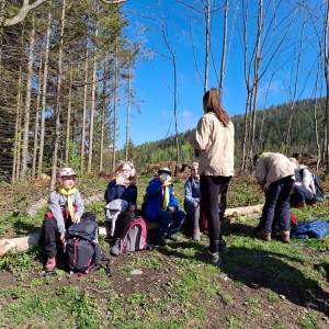 Ivančena 2025 - Pandy, Kocouři, Sokoli