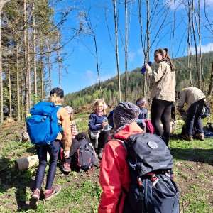 Ivančena 2025 - Pandy, Kocouři, Sokoli