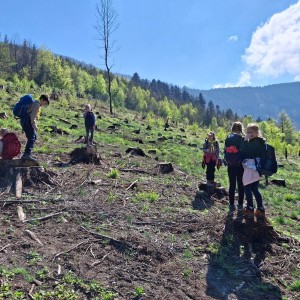 Ivančena 2025 - Pandy, Kocouři, Sokoli