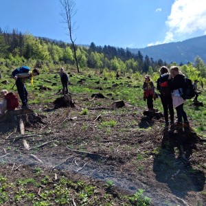 Ivančena 2025 - Pandy, Kocouři, Sokoli