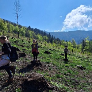 Ivančena 2025 - Pandy, Kocouři, Sokoli