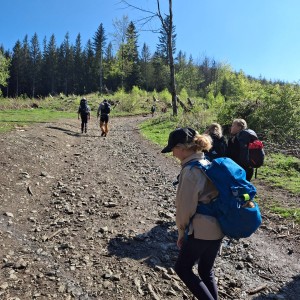 Ivančena 2025 - Pandy, Kocouři, Sokoli