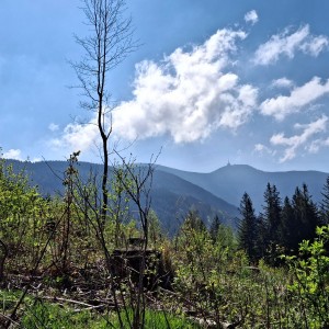 Ivančena 2025 - Pandy, Kocouři, Sokoli