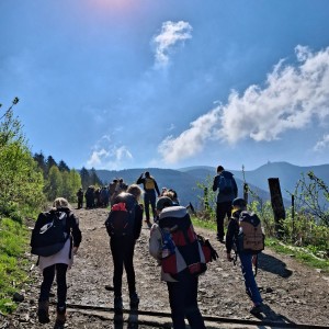 Ivančena 2025 - Pandy, Kocouři, Sokoli