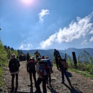 Ivančena 2025 - Pandy, Kocouři, Sokoli