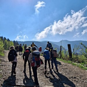 Ivančena 2025 - Pandy, Kocouři, Sokoli