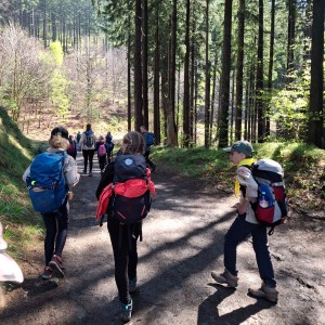 Ivančena 2025 - Pandy, Kocouři, Sokoli