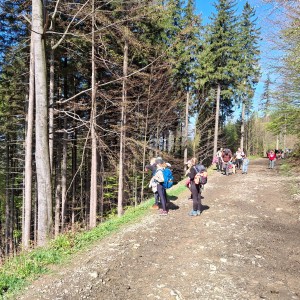 Ivančena 2025 - Pandy, Kocouři, Sokoli