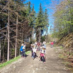 Ivančena 2025 - Pandy, Kocouři, Sokoli