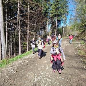 Ivančena 2025 - Pandy, Kocouři, Sokoli