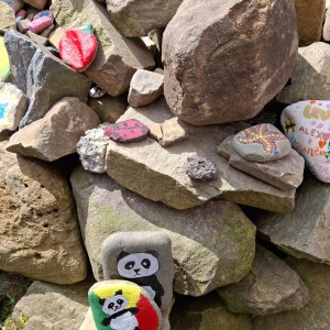 Ivančena 2025 - Pandy, Kocouři, Sokoli