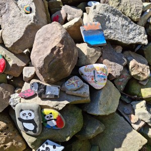 Ivančena 2025 - Pandy, Kocouři, Sokoli