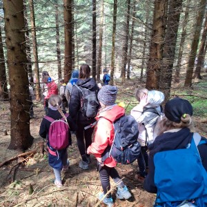 Ivančena 2025 - Pandy, Kocouři, Sokoli