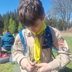 Ivančena 2025 - Pandy, Kocouři, Sokoli