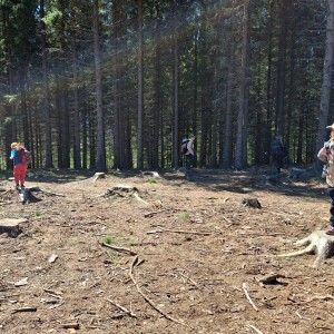 Ivančena 2025 - Pandy, Kocouři, Sokoli