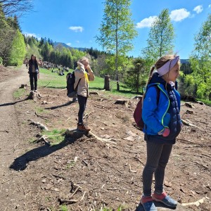 Ivančena 2025 - Pandy, Kocouři, Sokoli