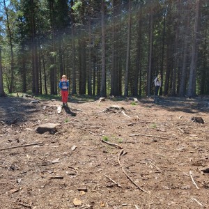 Ivančena 2025 - Pandy, Kocouři, Sokoli