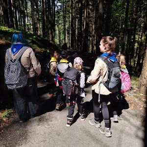 Ivančena 2025 - Pandy, Kocouři, Sokoli