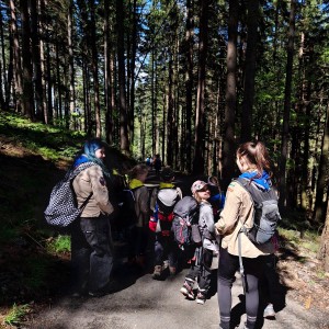 Ivančena 2025 - Pandy, Kocouři, Sokoli