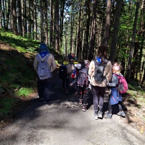 Ivančena 2025 - Pandy, Kocouři, Sokoli