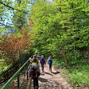 Ivančena 2025 - Pandy, Kocouři, Sokoli