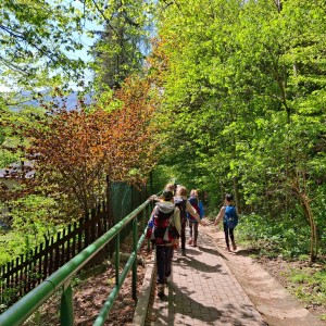 Ivančena 2025 - Pandy, Kocouři, Sokoli