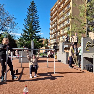 Ivančena 2025 - Pandy, Kocouři, Sokoli