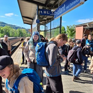 Ivančena 2025 - Pandy, Kocouři, Sokoli