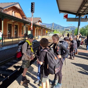 Ivančena 2025 - Pandy, Kocouři, Sokoli