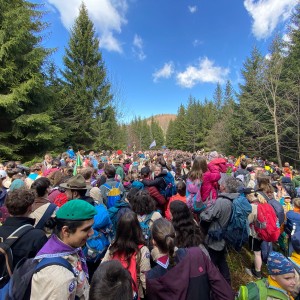 Ivančena 2025 - Pandy, Kocouři, Sokoli