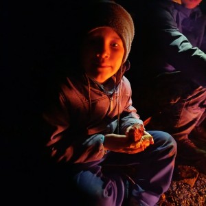 Jestřábí výprava na rozhlednu U Lidušky