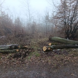 Jestřábí výprava na rozhlednu U Lidušky