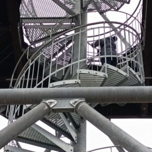 Jestřábí výprava na rozhlednu U Lidušky