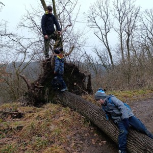 Jestřábí výprava na rozhlednu U Lidušky