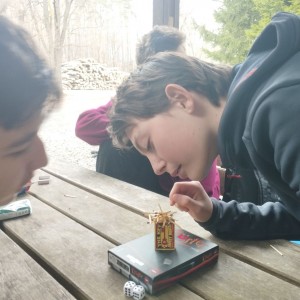 Kobří cyklovýprava