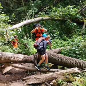 Kobří putování po Českém krasu