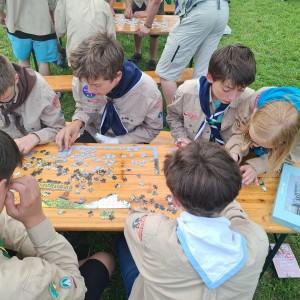 Krajské kolo Svojsíkova závodu 2025