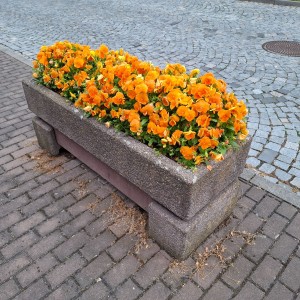 Krajské kolo Svojsíkova závodu 2025