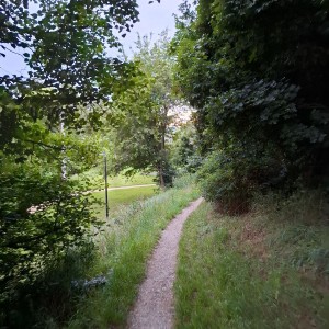 Krajské kolo Svojsíkova závodu 2025